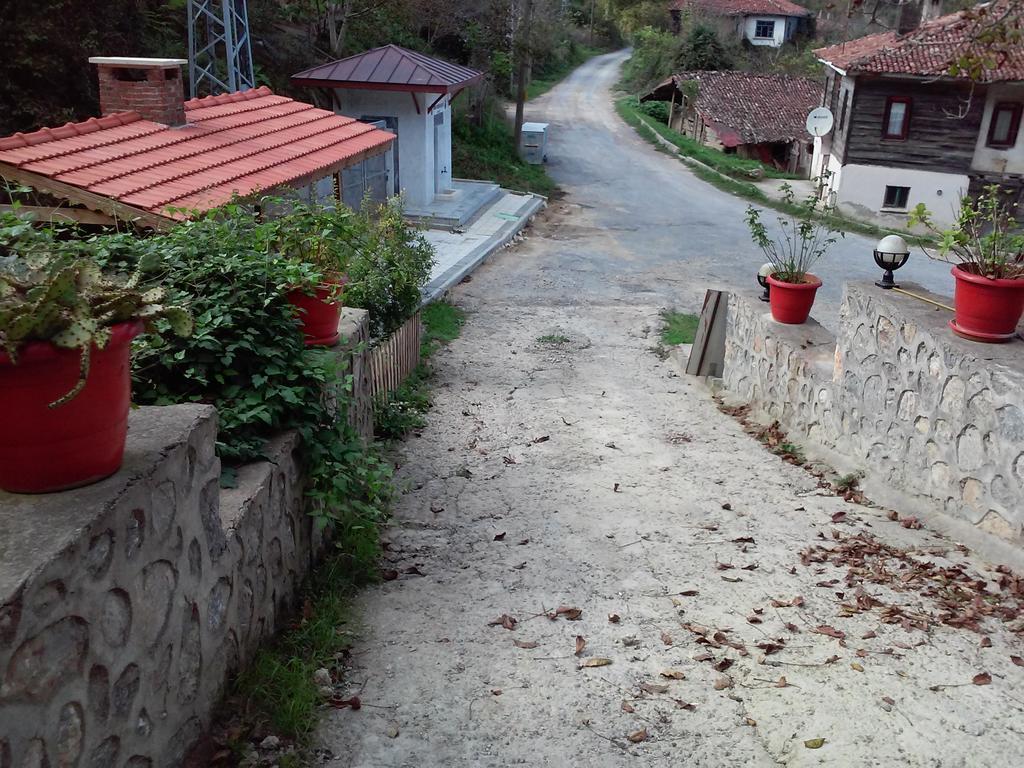 Ekoland Hotel Ağva Extérieur photo