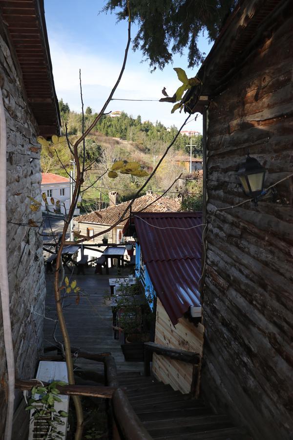 Ekoland Hotel Ağva Extérieur photo